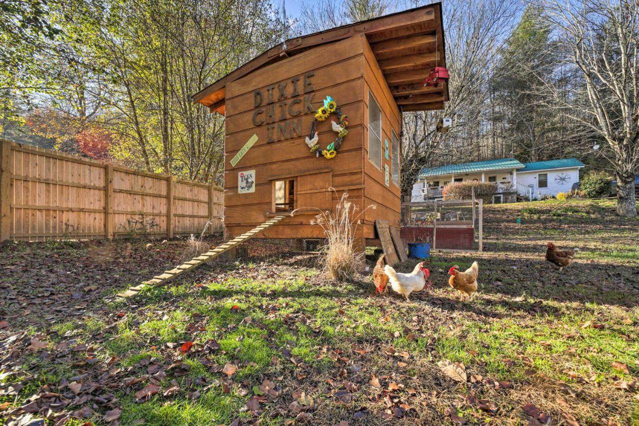 Smoky Mountain Vacation Rental With Hot Tub And Kayaks Whittier Eksteriør billede