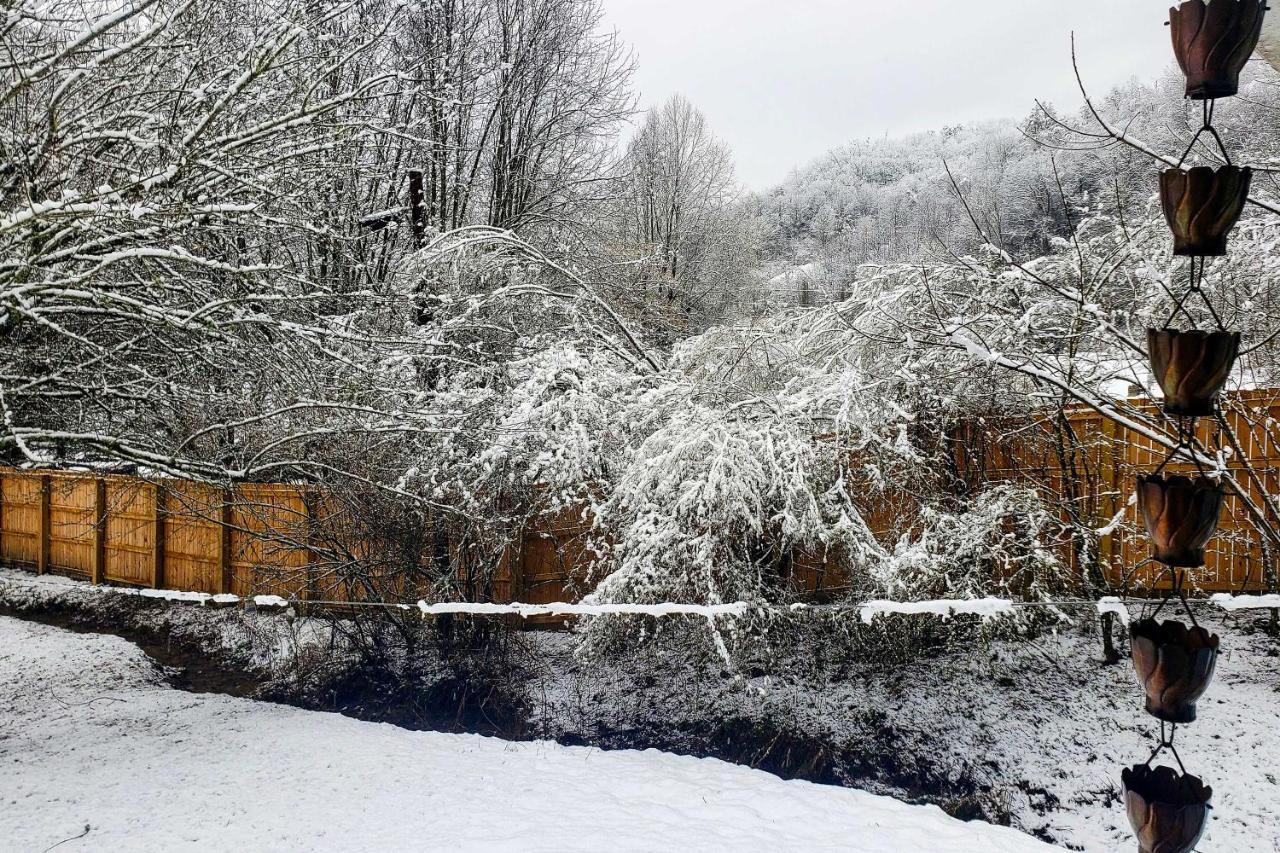 Smoky Mountain Vacation Rental With Hot Tub And Kayaks Whittier Eksteriør billede